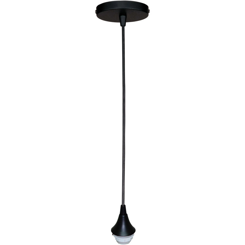 1 - Light Single Pendant, Aged Bronze