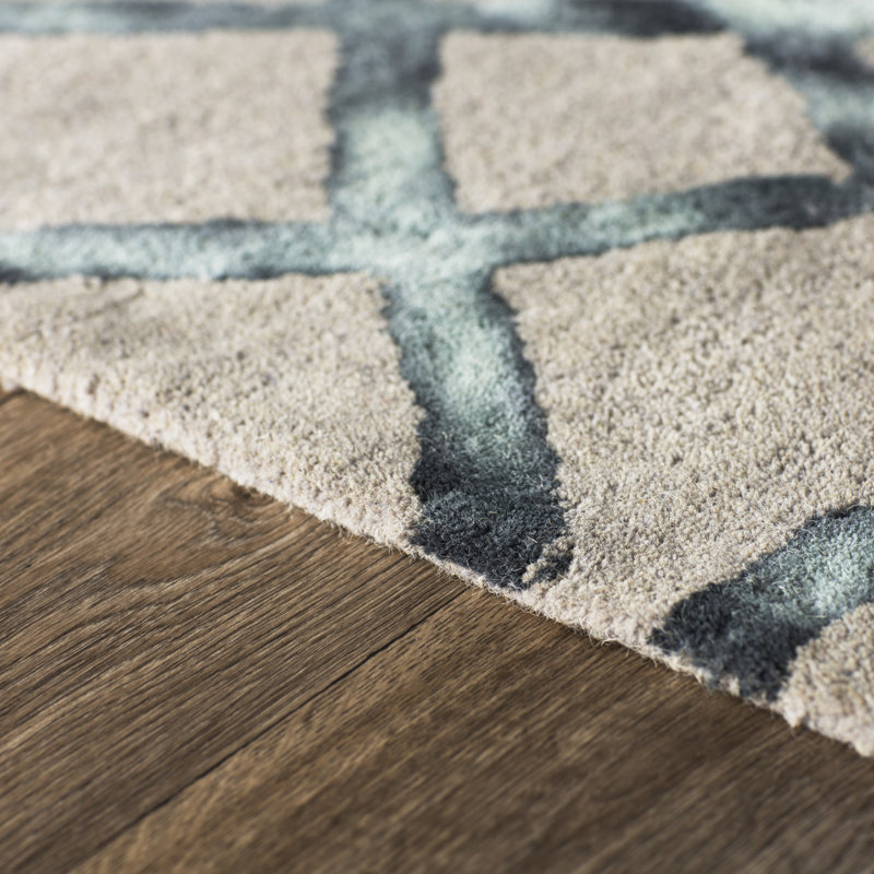 Tapis gris en laine touffeté à la main Budde, Rectangle 4 pi x 6 pi