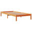 Storage Bed-2136195842-2136195849