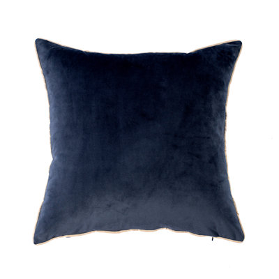 Velvet Throw Pillow Set of 2