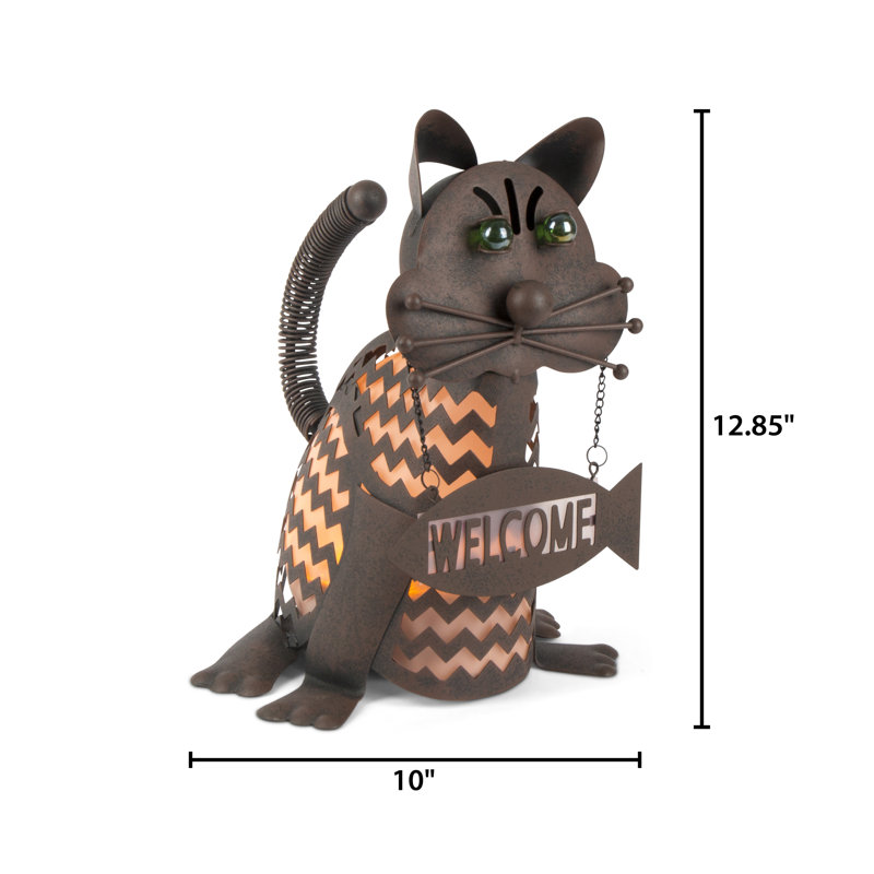 Chat de bienvenue 12,8 po H, Orange