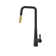 AGUA CANADA Master Pull Down Kitchen Faucet