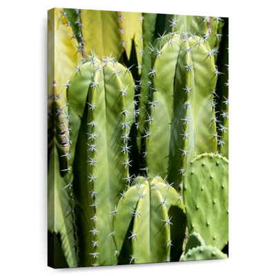 Harnek Totem cactus