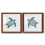 Bulle bleue tortue I - ensemble de 2 reproductions d'art-494887842-494887840