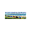 Northeast Print by Dominick-26940555-26940558