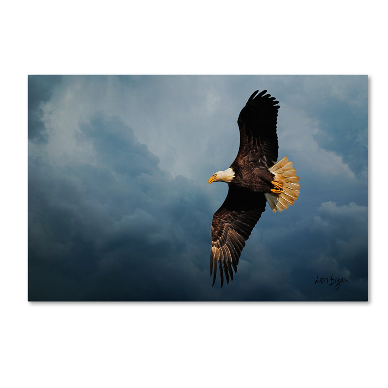 «Eagle in the Sky» par Lois Bryan, reproduction sur toile