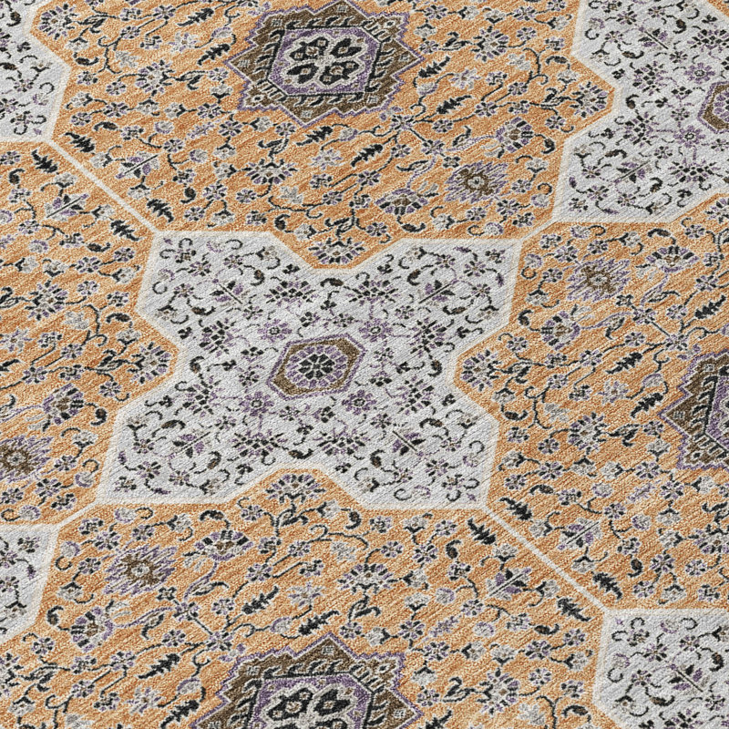 Machine Washable Indoor/Outdoor Chantille ACN2410 Global Rug, Rectangle 10' x 14'