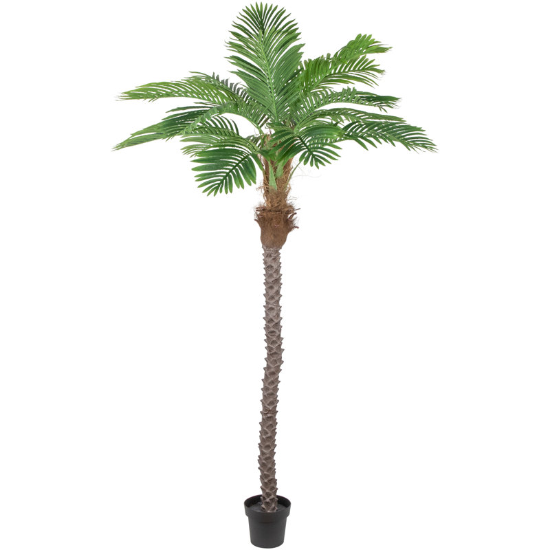 7.25' Green and Brown Potted Artificial Phoenix Palm Tree