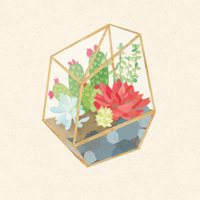 Succulent Terrarium IV by Wild Apple Portfolio - Wrapped Canvas Painting