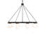 10 - Light Chandelier