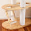 63.6" Modern Cat Tree for Large Cats with Cat Scratching Post, Solid Wood Tall Cat Tower Condo for Multi-Cat Families