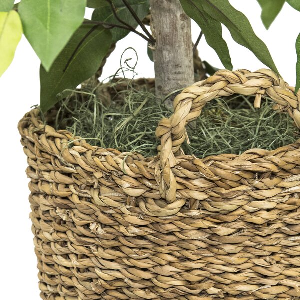 Freeport Park® 48'' Faux Ficus Tree in Rattan Basket & Reviews | Wayfair