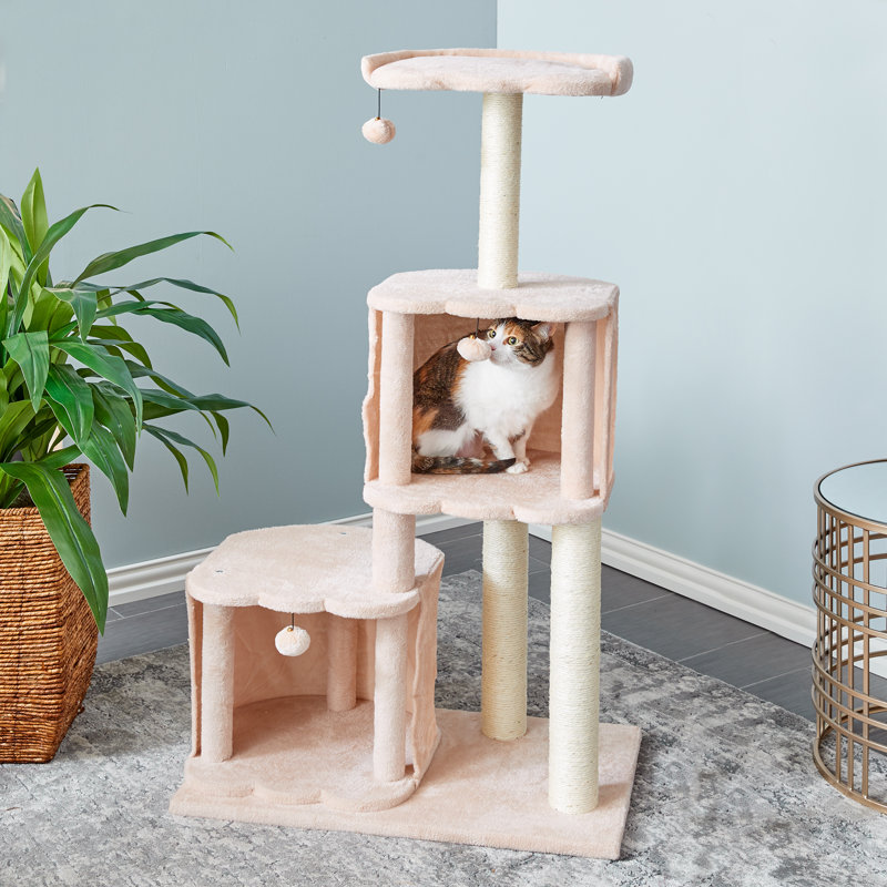 Alysen 50.6'' H Cat Tree