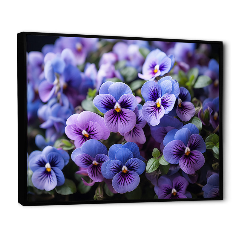 «Purple Pansies Field Vibrant» sur toile, Cadre flottant noir, H 16 po x l 32 po x P 1 po