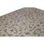 Oriental Area Rug