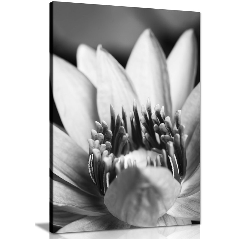 Flower Close Up - Wrapped Canvas Print, 31cm H x 20cm W x 1.8cm D