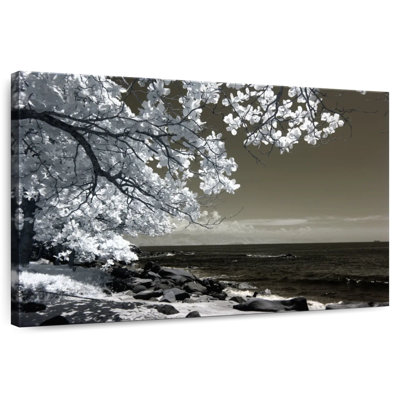 Arbre noir et blanc Harnek