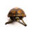 Reginia Tortoise Statue
