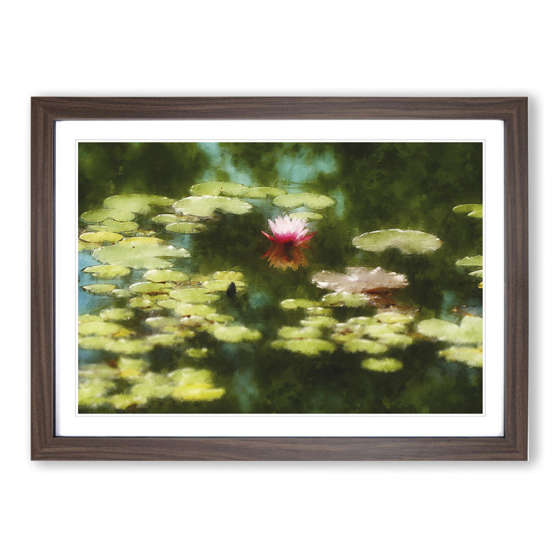 Pink Water Lily Flower Vol.1 - Framed Print, 27cm H x 36cm W x 2cm D, Walnut Framed