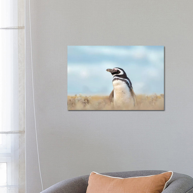 Magellanic Penguin, Falkland Islands. by Martin Zwick - Wrapped Canvas Print, 66.04 cm H x 45.72 cm W x 1.91 cm D