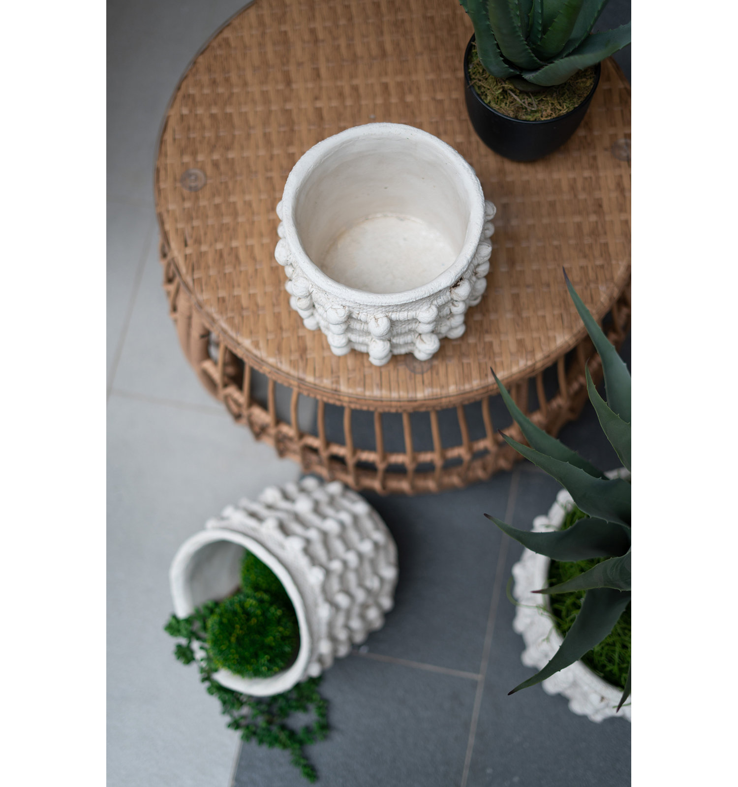 Mosley Pot Planter, 12" H x 12" W x 10.8" D