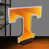 Volunteers du Tennessee
