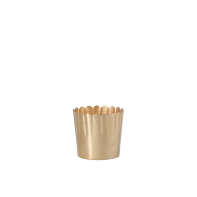 Pot Delicata 5,5 po x 5 po