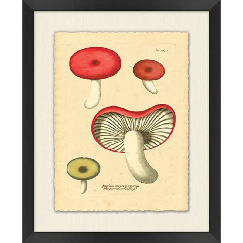 Deco Fungus 1 Print