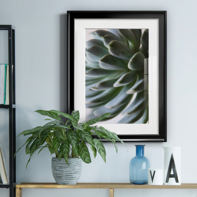 Zen Succulent II by Irene Weisz - Matted and Framed Under Acrylic Glass, Large Living Room Wall Art