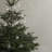JUHLA 3" Glass Bauble-112568862