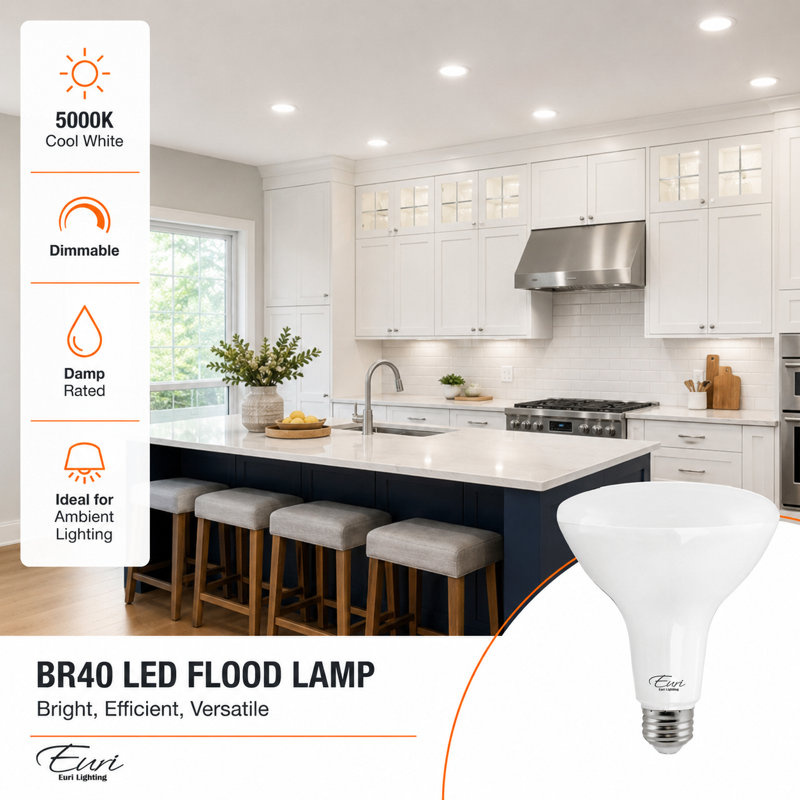 Ampoule DEL BR40 Euri Lighting, 11 W, 1000 lm, équivalent 75 W, 5000 K, culot E26, dimmable, conforme aux normes CEC et UL.