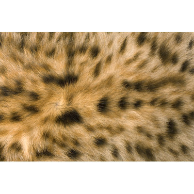 " Skin's Texture Of Hyena " by Witr