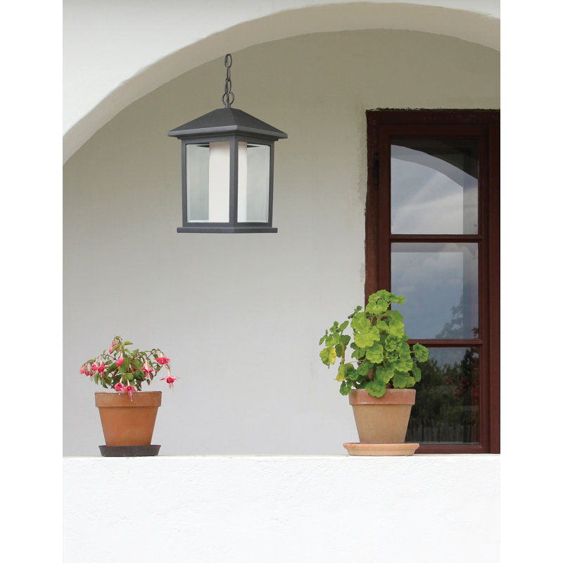 Lanterne suspendue d'extérieur à 1 ampoule H 13,5 po Anneliesse, Noir