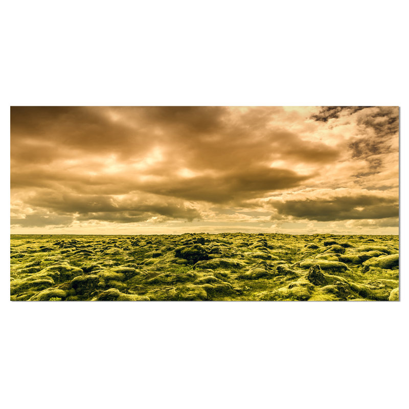 «Beautiful View of Sky and Moss», reproduction de photo sur toile tendue, H 16 po x l 32 po