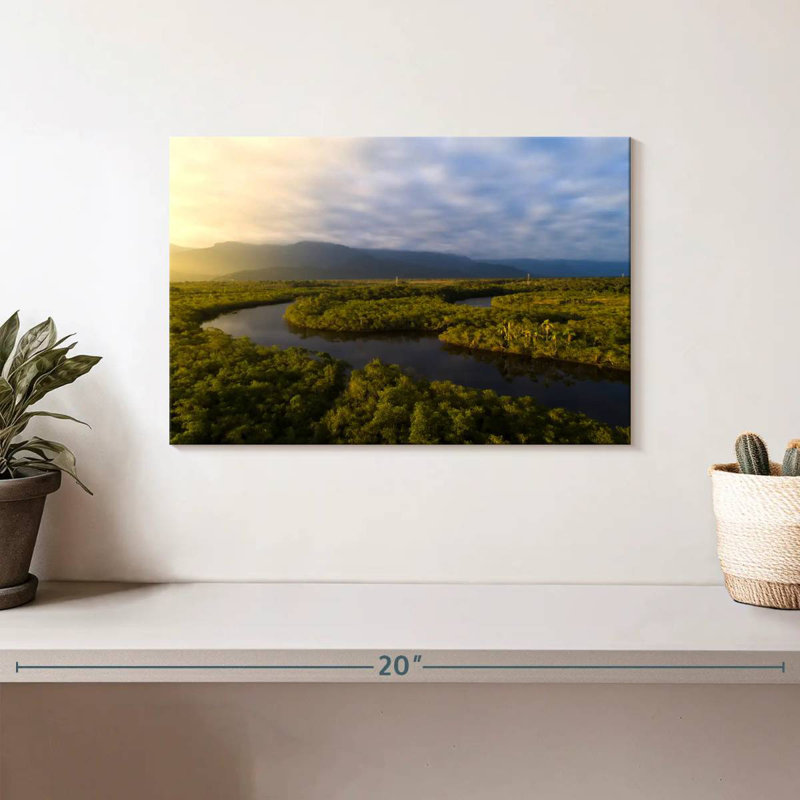 Alvord Amazon Forest River, 8" H x 12" W