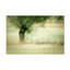 Saule - reproduction sur toile tendue-1991679151