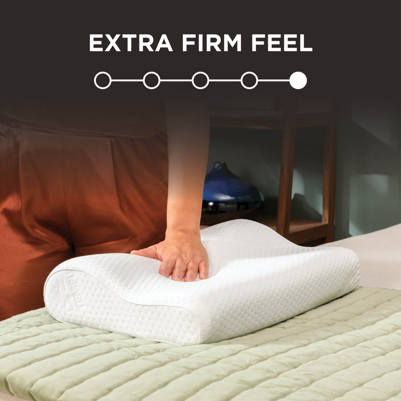 Tempur-Ergo Neck Memory Foam Extra Firm Pillow, 2 Pack, Medium Profile