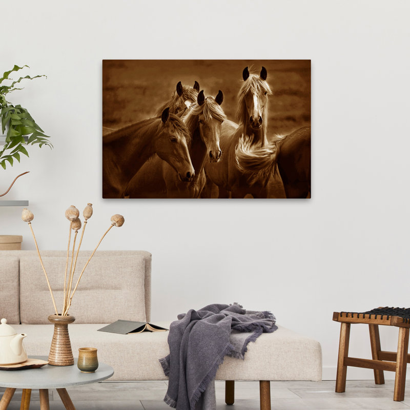Bad Girls - Photographie, animaux, chevaux, nature, faune, H 24 po x l 36 po
