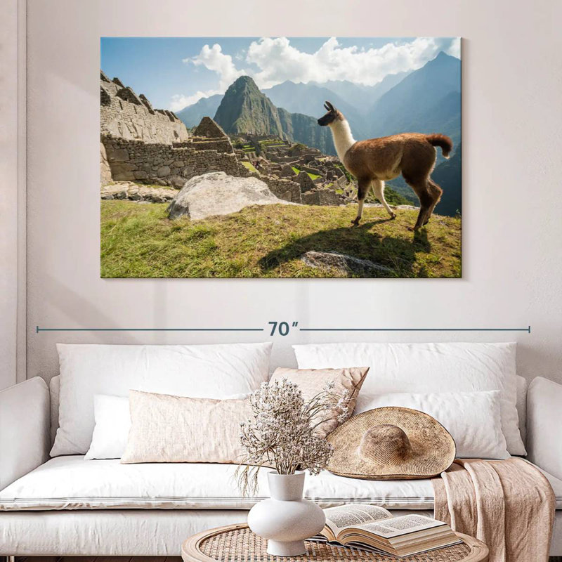 Marchama lama du Machu Picchu, H 34 po x l 51 po