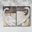 ANIMALS Series CCCCLXXIV - Toile tendue avec châssis de qualité supérieure - Prêt à être accroché-108955549