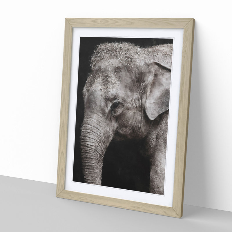 Elephant Vol.3 - Picture Frame Graphic Art, Oak Framed, 48cm H x 36cm W x 2cm D