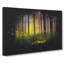 Forest Dreams - Wrapped Canvas-56645150