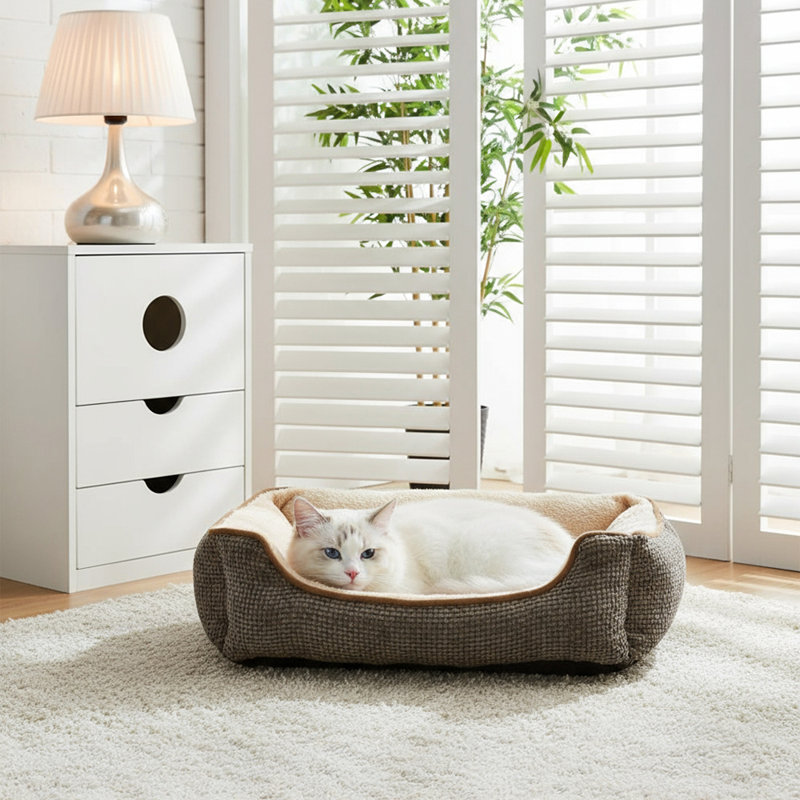 Polyester Pet Bed, Medium (14cm H x 60cm W x 50cm D), Coffee