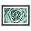 Mint Green Rose - Framed Print-56859734-56859735