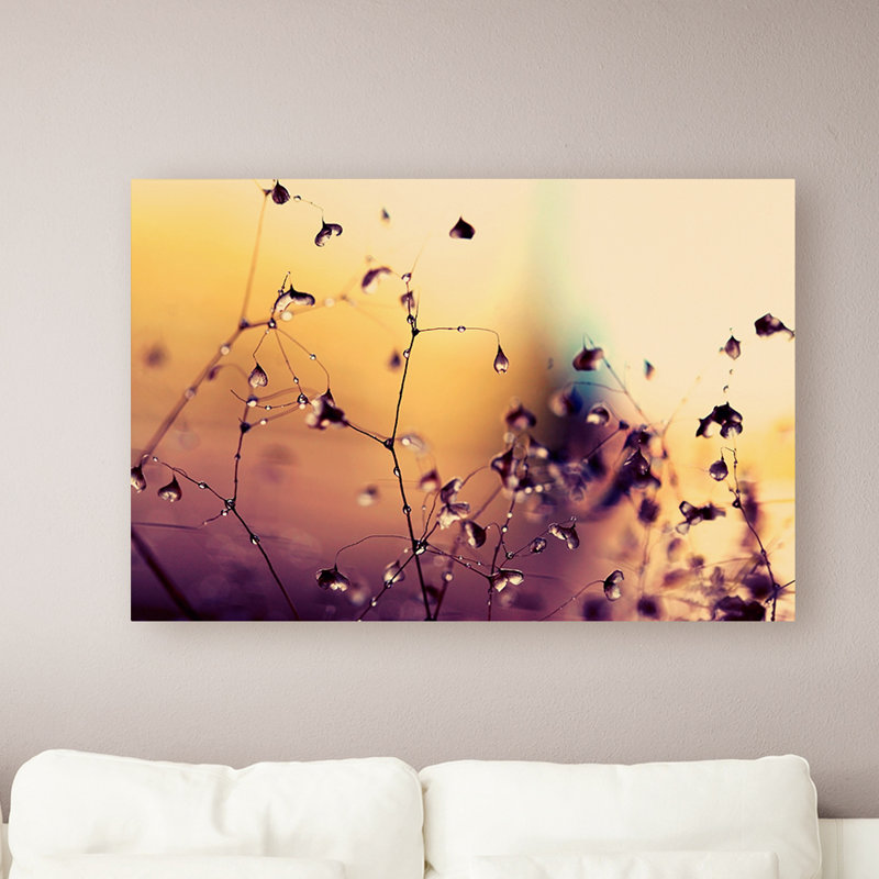 « when is happy » par "beata czyzowska young, reproduction de photo sur toile tendue, H 22 po x l 32 po x P 2 po