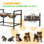 Support pour chien surélevé avec 2 bols en acier inoxydable, bol pour chien surélevé avec 6 hauteurs réglables