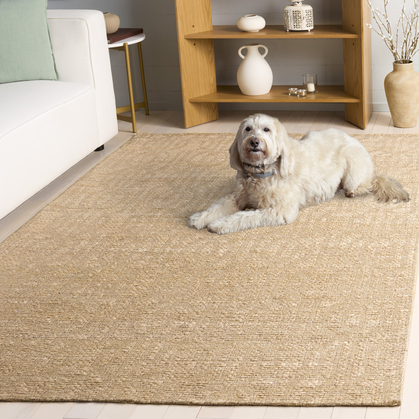 Natural Fiber Hand Woven Jacquard Performance Solid Color Indoor Rug, 5'-0" X 8'-0" Rectangle