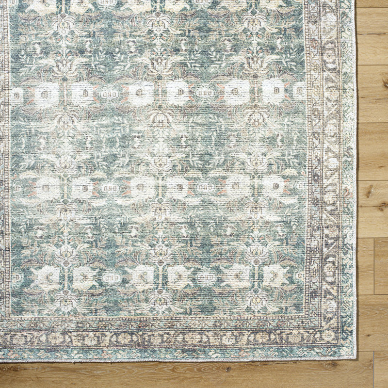 Alburga Washable Oriental Indoor Rug, Rectangle 5'3" x 7'
