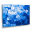 Impression sur toile de marguerites aqua-1995853351-1995853349-1995853531