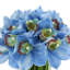 Orchid in Flat Glass Vase-2083013318